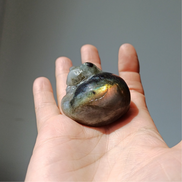 Labradoriet carving (slapende kat)
