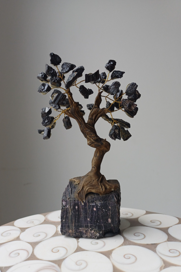 Ruwe zwarte toermalijn bonsai boom
