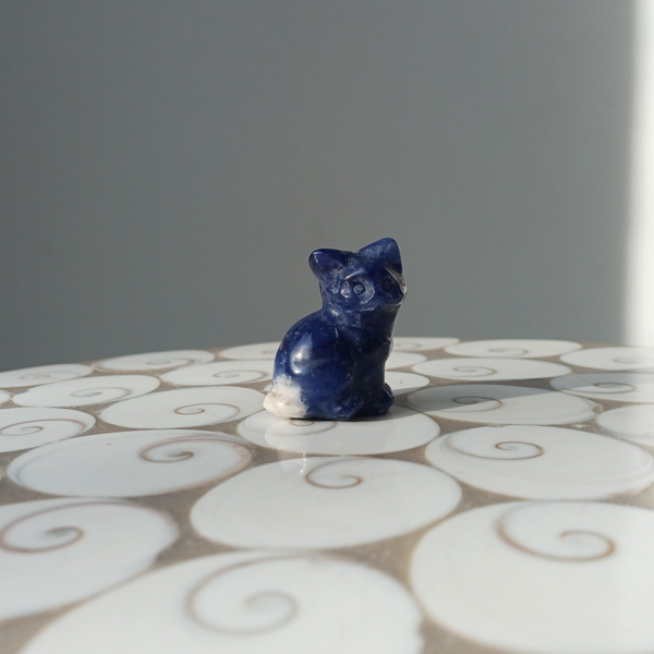 Sodaliet kat carving