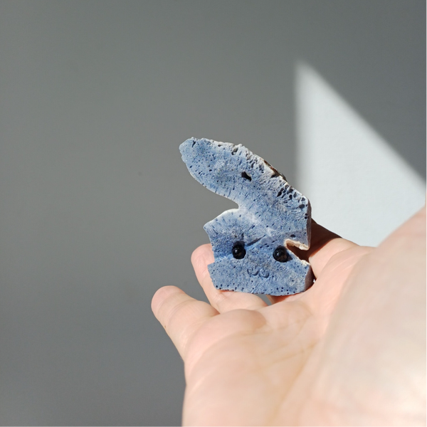 Vrolijke vriend van versteend blauwe koraal