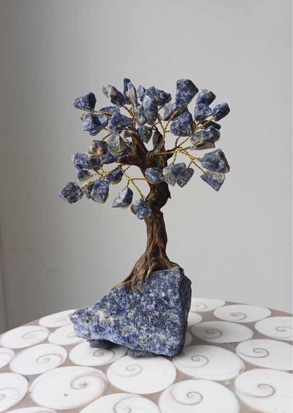 Ruwe sodaliet bonsai boom