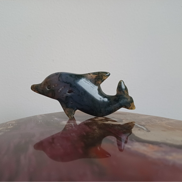 Mosagaat carving (dolfijn)