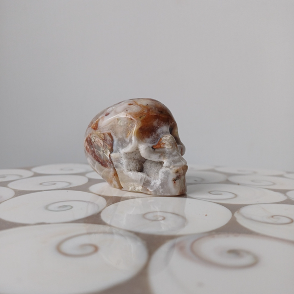 Crazy lace agaat skull /schedel