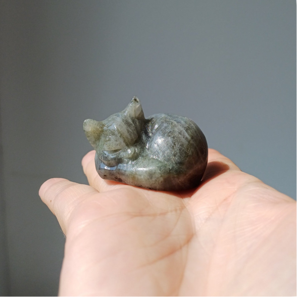Labradoriet carving (slapende kat)