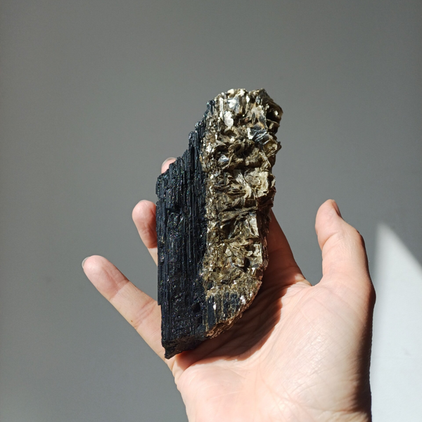 Ruwe zwarte toermalijn met gouden mica
