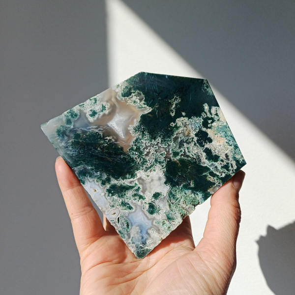 Mosagaat slab/ schijf