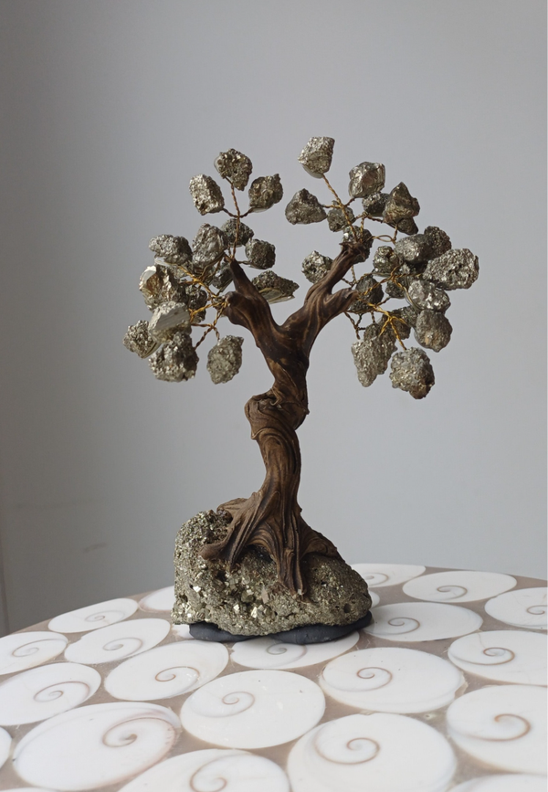 Ruwe pyriet bonsai boom