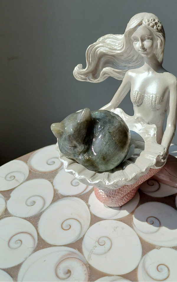 Labradoriet carving (slapende kat)