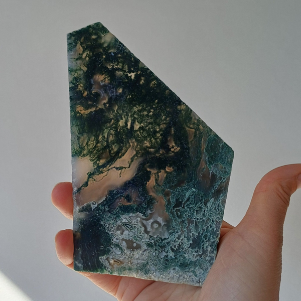 Mosagaat slab/ schijf
