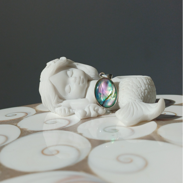Abalone schelp hanger (s925)