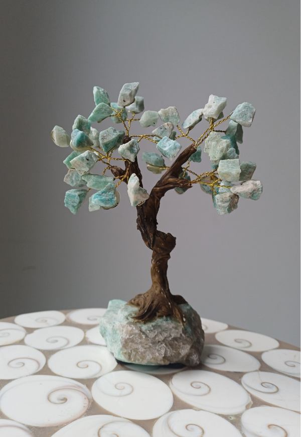 Ruwe amazoniet bonsai boom
