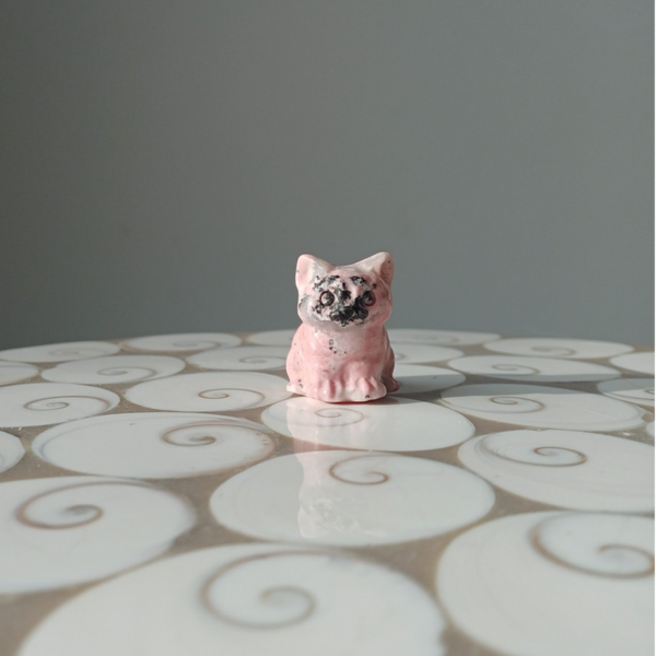 Rhodoniet kat