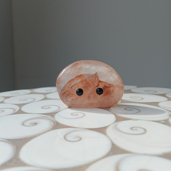 Vrolijke vriend van hematoïdekwarts