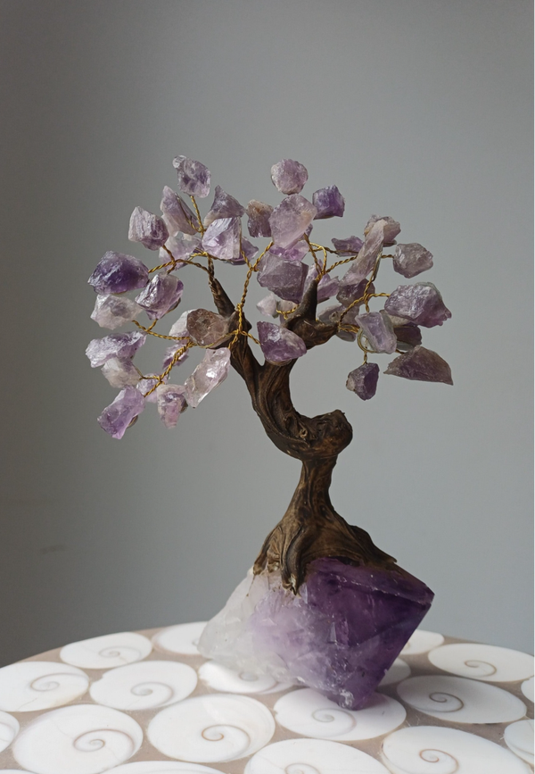 Ruwe amethist bonsai boom
