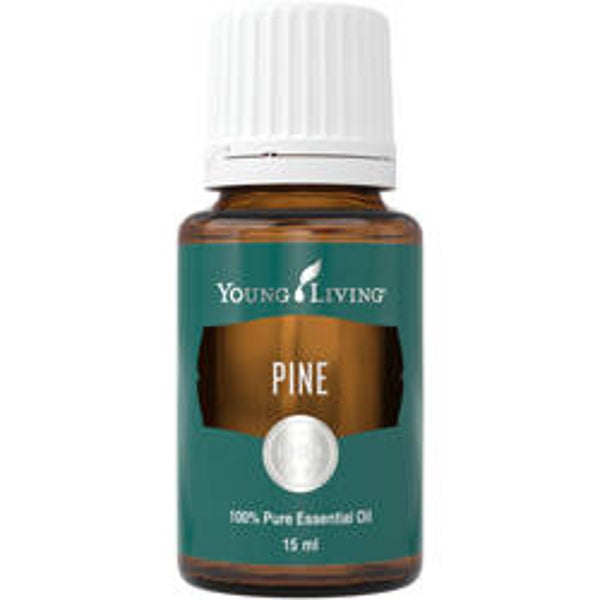 Pine (den)