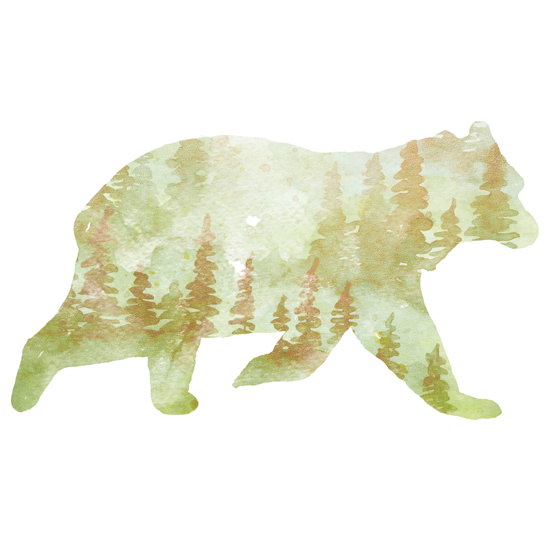 Beige Bear