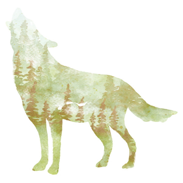 Beige Wolf