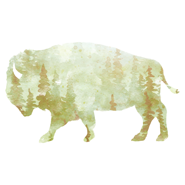 Beige Bison