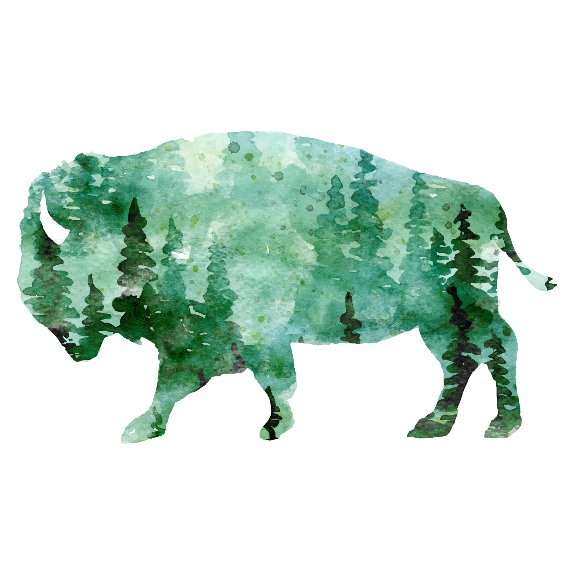 Green Bison