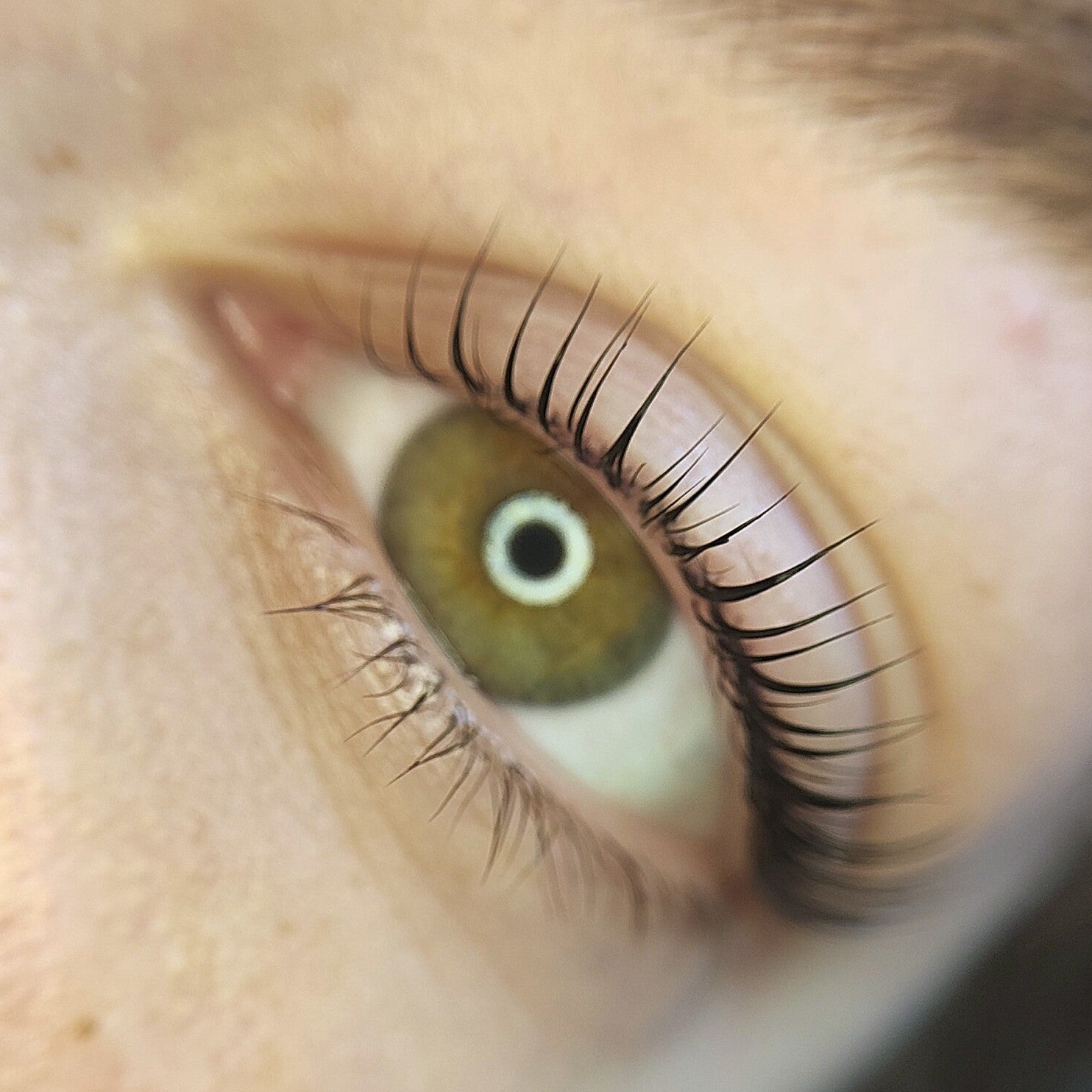 Korean Lashlift Noordwijkerhout, Noordwijk, Bollenstreek