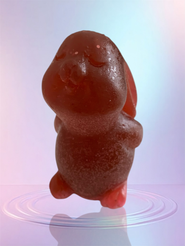 savon parfumé lapin
