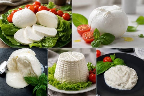 BOX MOZZARELLA DI BUFALA