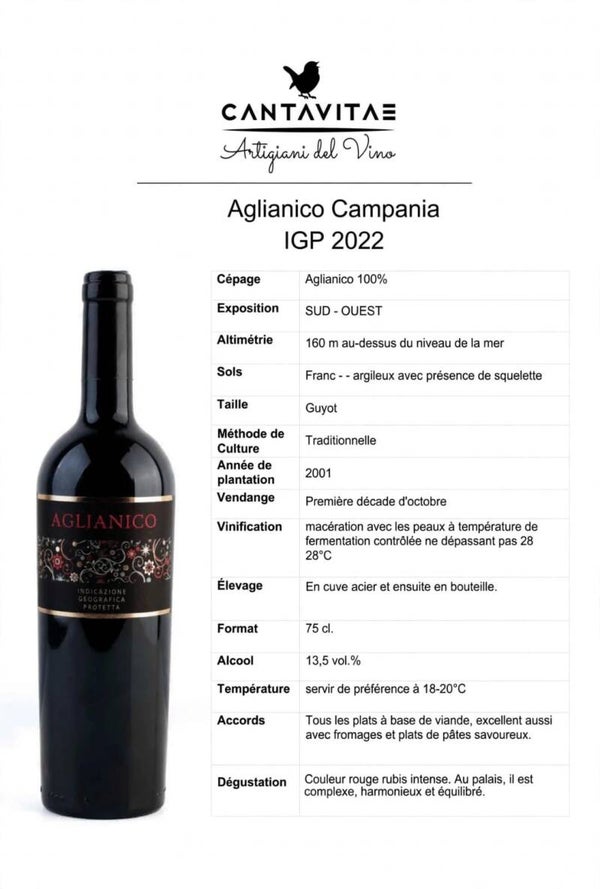 Aglianico  Campania IGP 2022