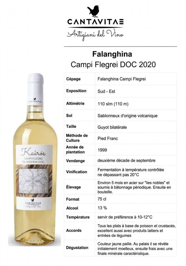 FALANGHINA CAMPI FLEGREI D.O.C 2020