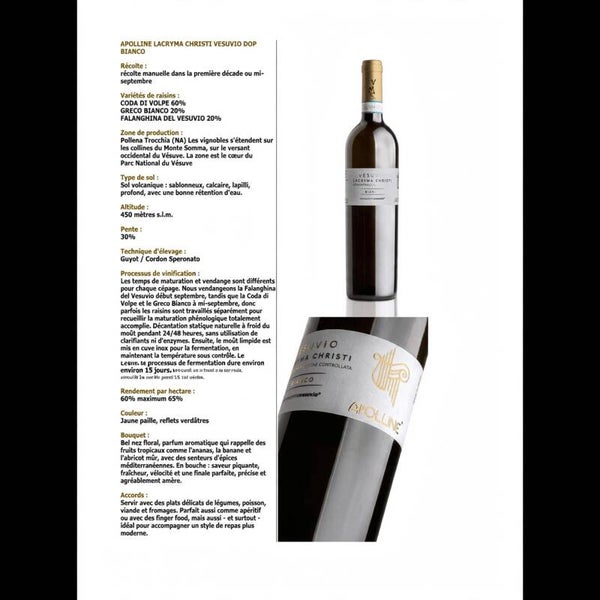 Lacryma Christi Del Del Vessuvio Bianco DOP 2024 - 750 ml