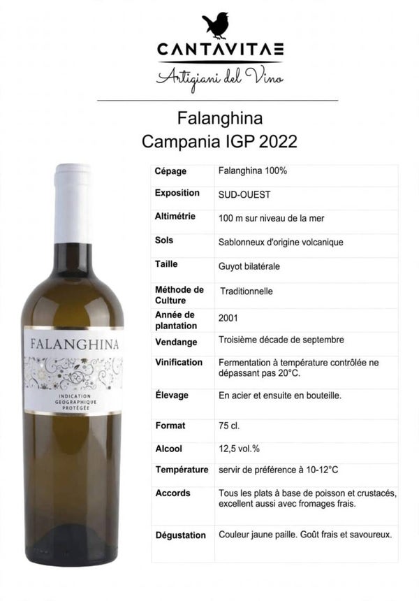 Falanghina Campana 2022 I.G.P.