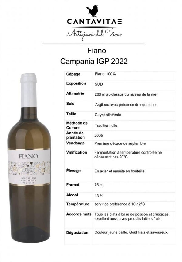 Fiano di Avellino 2024