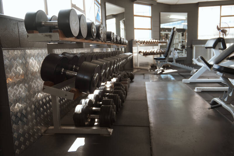 Dumbbell area in Body Focus Tokoroa