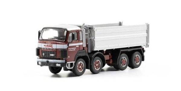 ACE 85.002309 1:87 Berna D290B F8x4 Kipper Wuthrich