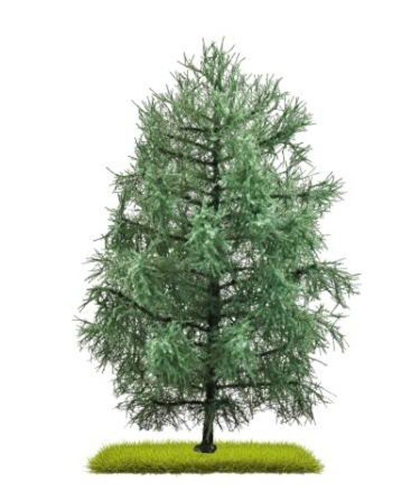 Busch 3803 Tanne 210 mm