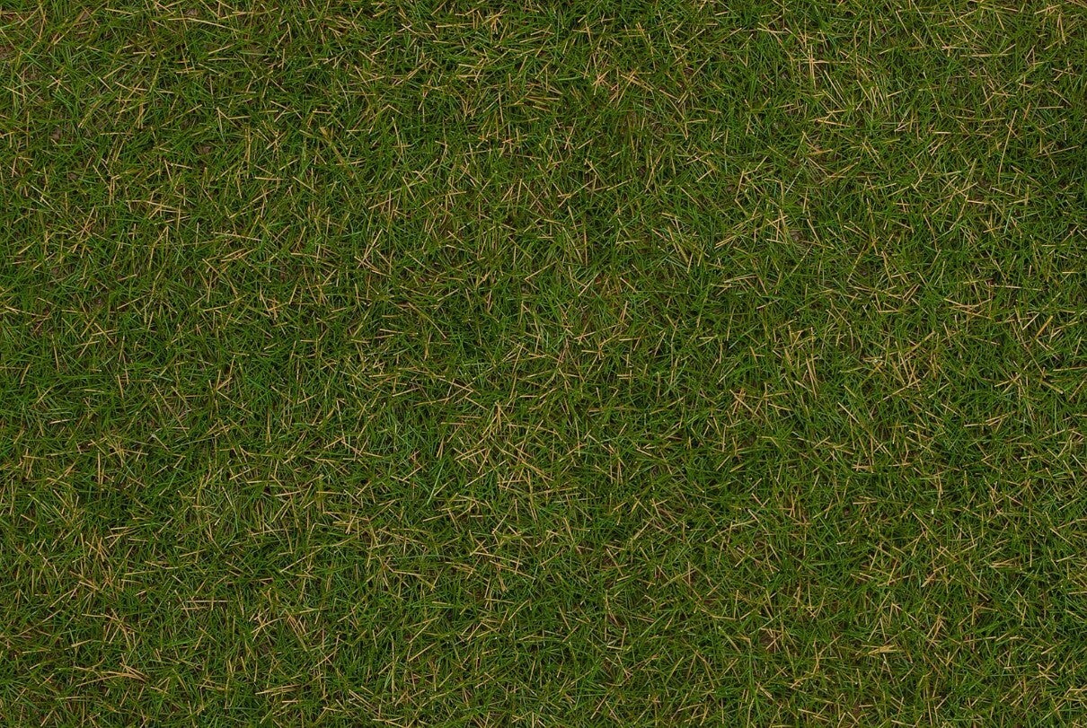 Faller 170257 Streufasern Wildgras, Sommerwiese, 4 mm, 1 kg