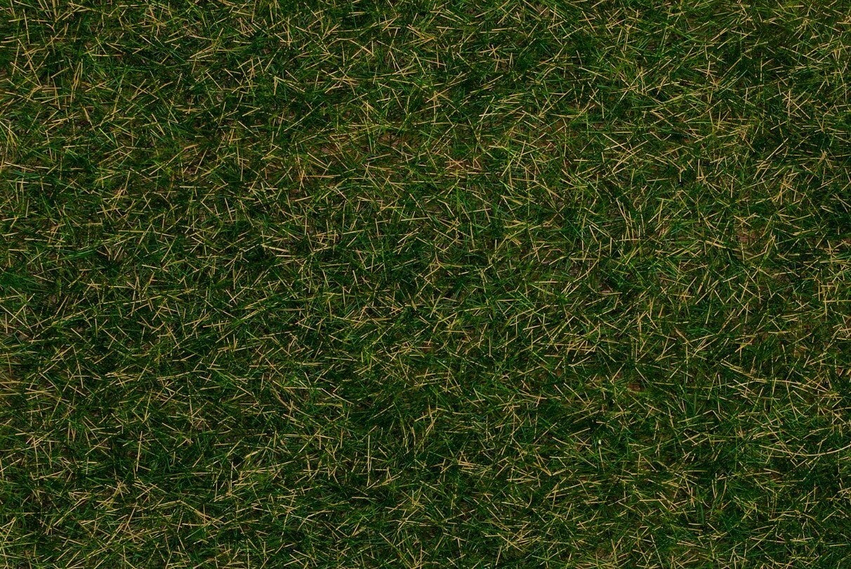 Faller 170258 Streufasern Wildgras, dunkelgrün, 4 mm, 1 kg