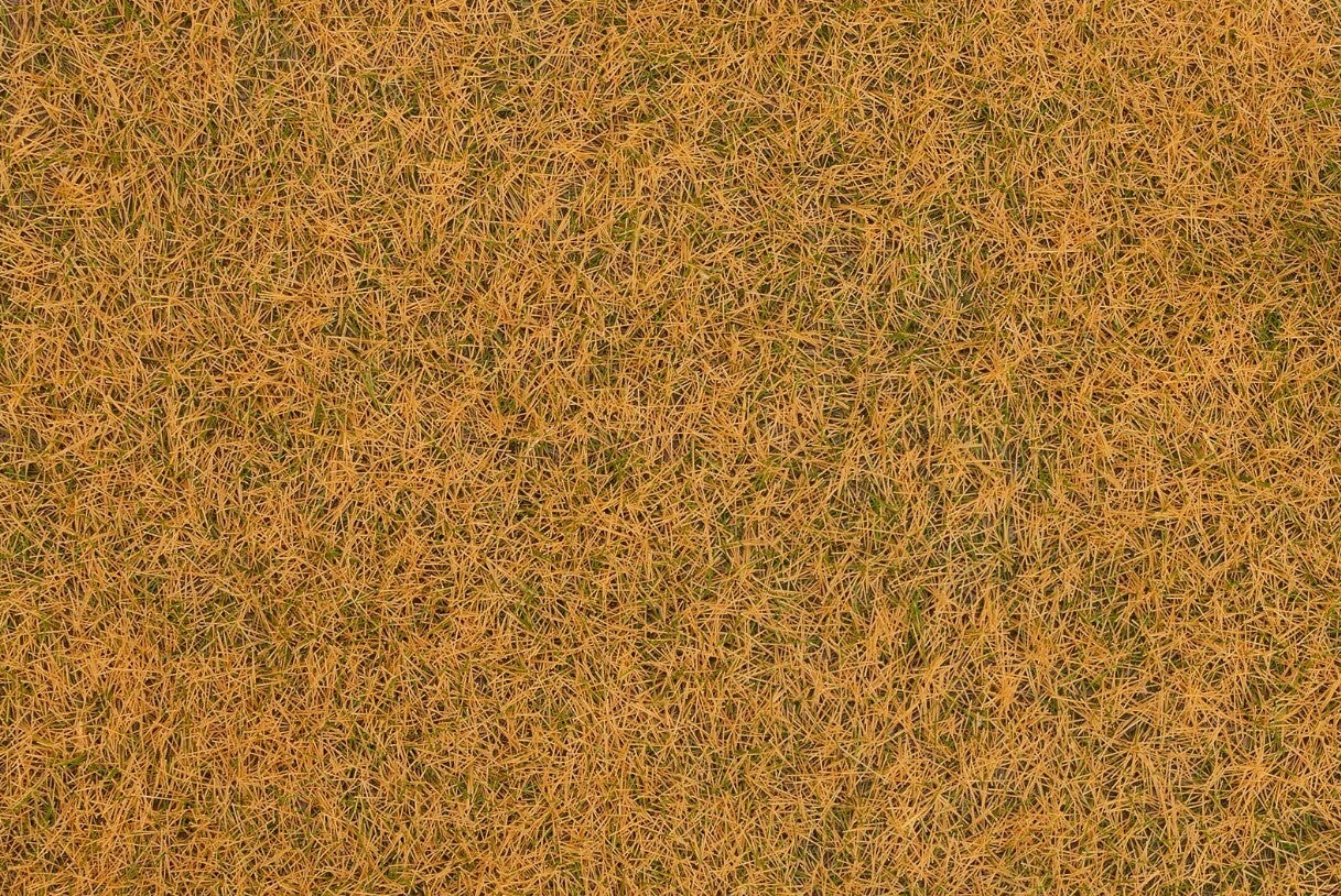 Faller 170260 Streufasern Wildgras, verdorrt, 4 mm, 1 kg