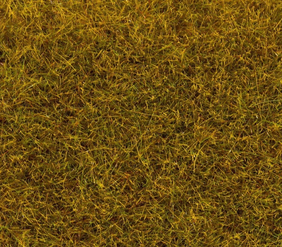 Faller 170770 PREMIUM Streufasern Wiesengrün, 6 mm, Grosspackung, 80 g