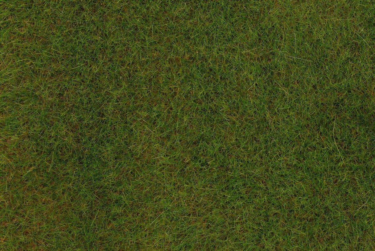 Faller 170771 PREMIUM Streufasern Frühlingswiese, 6 mm, 30 g