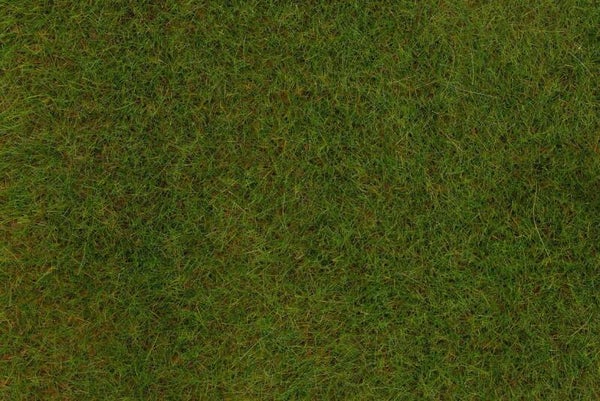 Faller 170771 PREMIUM Streufasern Frühlingswiese, 6 mm, 30 g