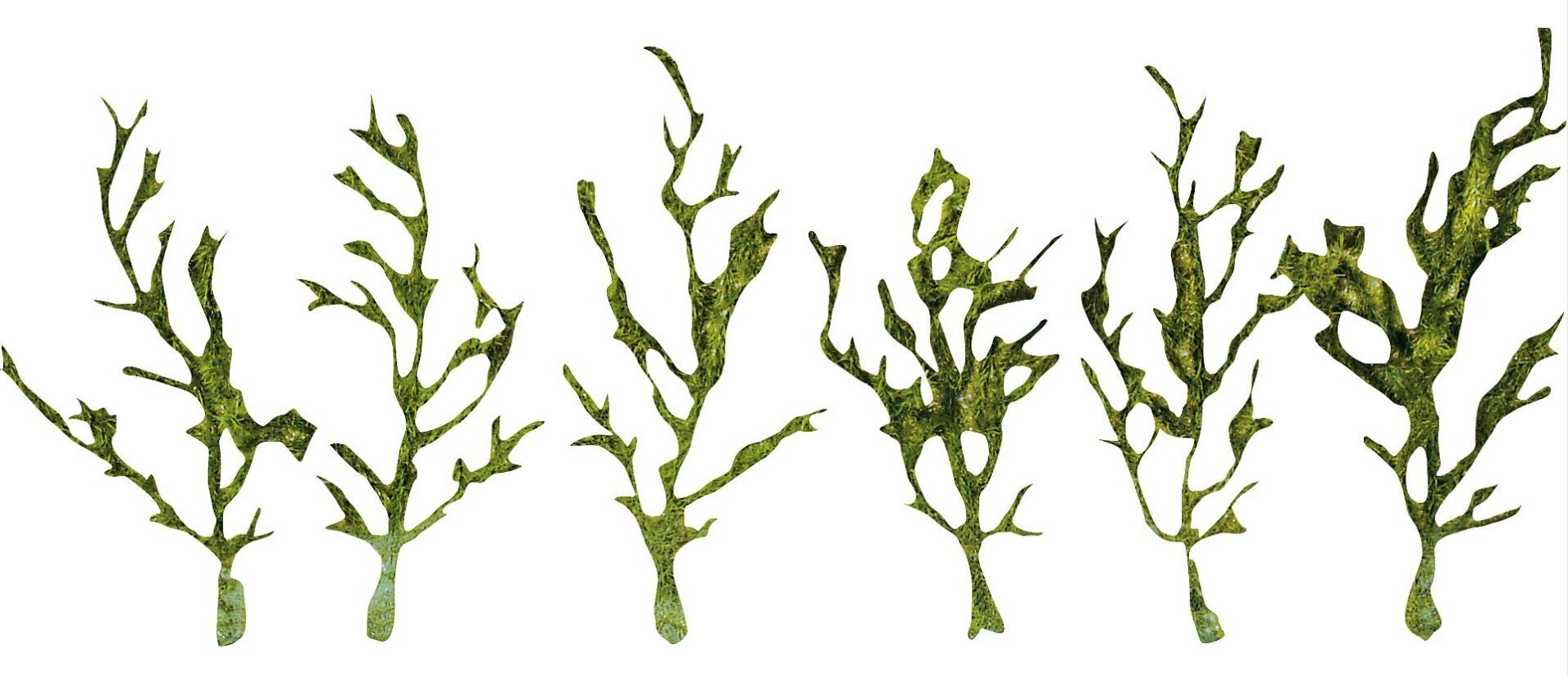 Faller 171839 PREMIUM Rankgewächse, grün