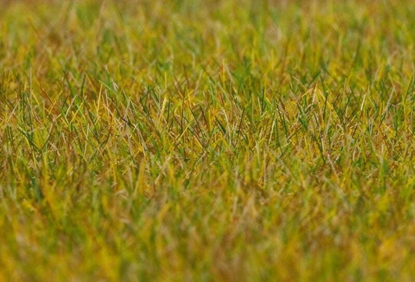 Faller 180484 PREMIUM Streufastern Wiese, hellgrün, 6 mm, 30 g