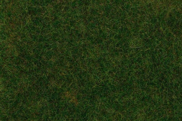 Faller 180485 PREMIUM Streufasern, Gras, dunkelgrün, 6 mm, 30 g