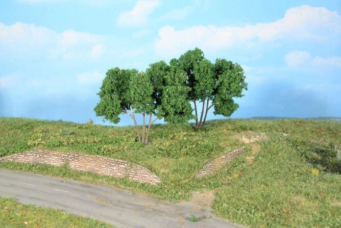 Heki 19113 2 Hainbuchen