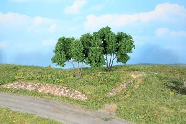 Heki 19113 2 Hainbuchen