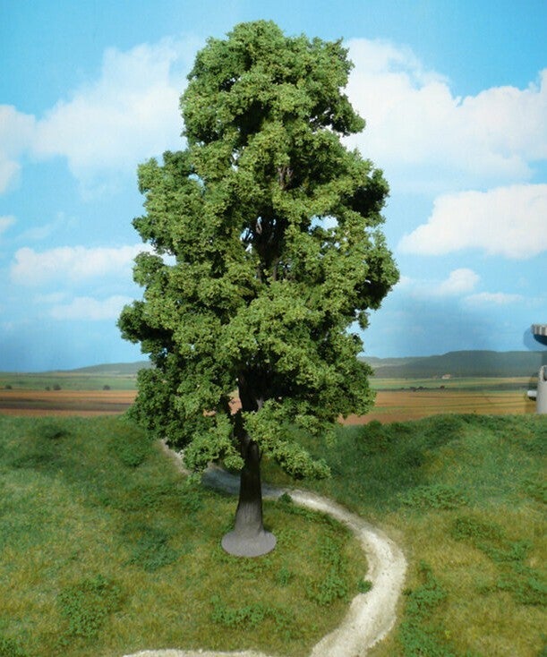 Heki 1943 1 Bergahorn