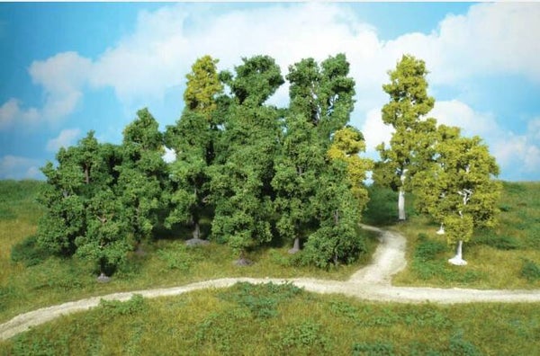 Heki 1951 14 Laubbäume