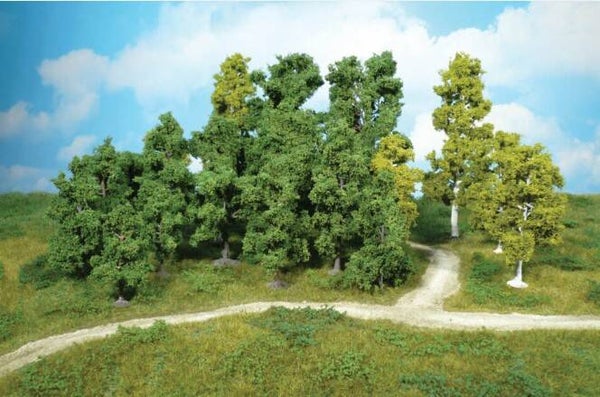 Heki 1952 14 Laubbäume