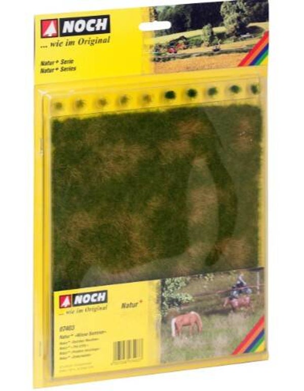 NOCH 07403 Natur+ "Wiese Sommer"