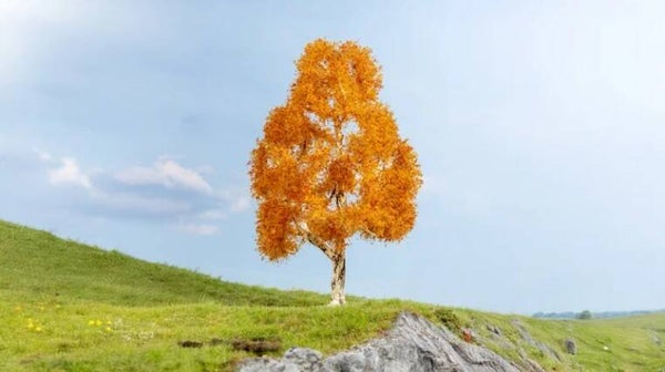 NOCH 20129 Birke, herbstlich